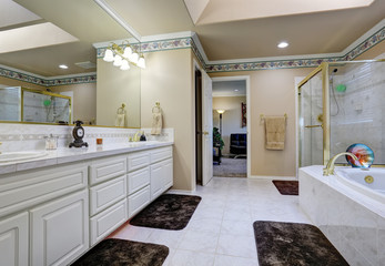 Beautiful luxury walk through bathroom interior