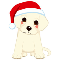 Cute little retriever puppy wearing Santa Claus hat