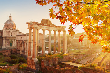 Forum - Roman ruins in Rome, Italy