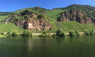 Fototapeta premium Weinlandschaft Mosel