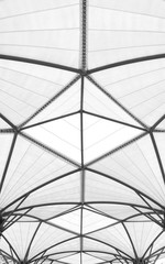 black and white modern of metal roof structure