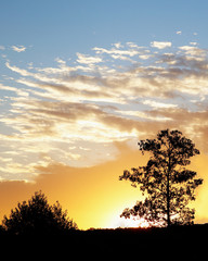 colorful purple sunset