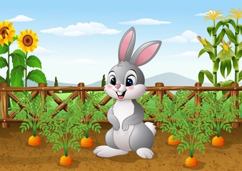 Obraz premium Cartoon rabbit with carrot plant in the garden