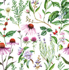 Ręcznie rysowane akwarela bezszwowe botaniczny wzór z różnych roślin. Powtarzające się naturalne tło z roślinami łąkowymi i medycznymi: echinacea, kawa, lawenda itp. - 121208438