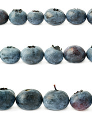 Line made of Bilberry or blueberry over isolated white background