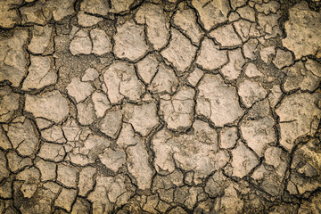 Dry crack soil background