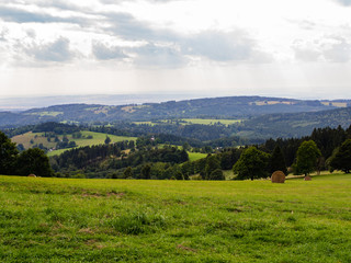 Obraz premium Grass and white cloudy sky, natural panorama