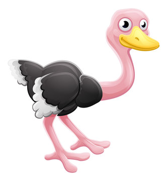 Ostrich Animal Cartoon Character