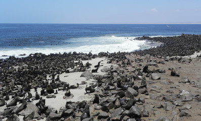 Cape Cross, Namibia
