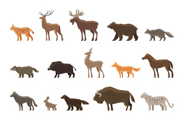 Animals icon set. Vector symbols such as lynx, deer, elk, bear, raccoon, badger, wild boar, roe , fox, horse, wolf, hare, musk ox, snow leopard, wolverine