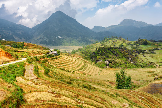 View of terraced rice fields among the Hoang Lien Mountains