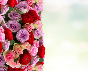 bouquet of fresh roses and ranunculus