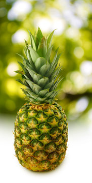 Isolated image of a pineapple closeup