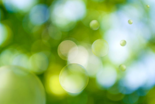 image of natural green background closeup