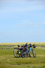 Fototapeta na wymiar Fahrräder an der Nordsee 