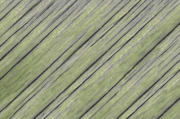 Wood texture. Lining boards wall. Wooden background pattern. Showing growth rings. green Colour