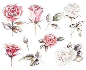 Papier Peint photo Des roses ensemble de cliparts roses aquarelles