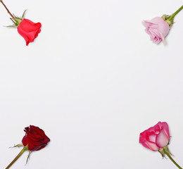 Four roses in four corners and blank space in middle for your te