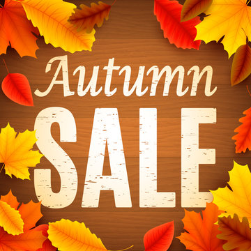 Autumn Sale Anouncement