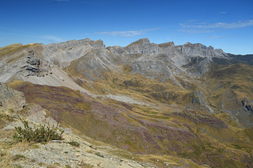 Petraficha-Acherito-La Mesa - 1