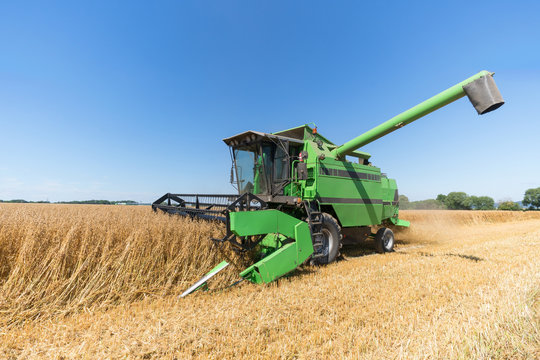 M&auml;hdrescher bei der Ernte von Hafer