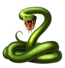 Obraz premium snake