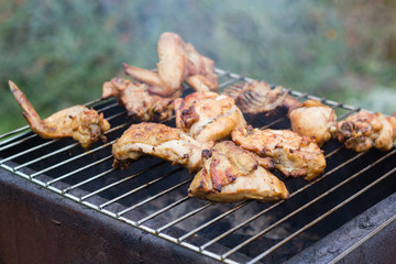 BBQ meat on grill in garden