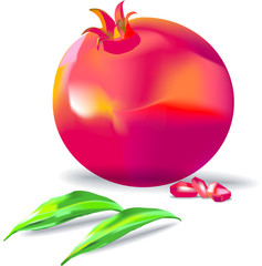 shana tova israel vector