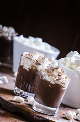 Liquid chocolate with marshmallow sprinkled with cocoa powder, v