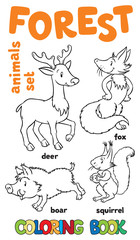Forest animals coloring book