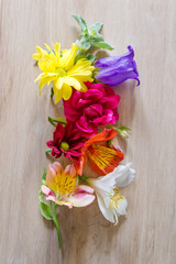 Creative arrangement made of different flowers on wooden background.