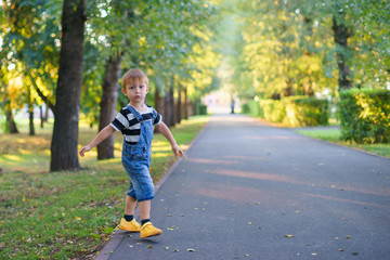 Boy walking in the park along the alley