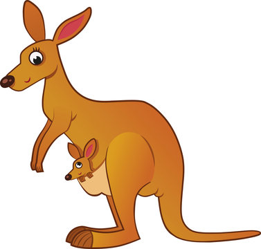 Kangaroo and her baby