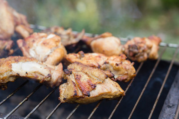 BBQ meat on grill in garden