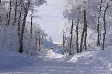 Obraz premium Winding Winter Road