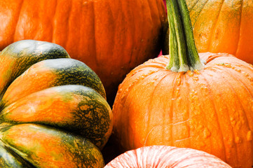 Assorted pumpkins close up