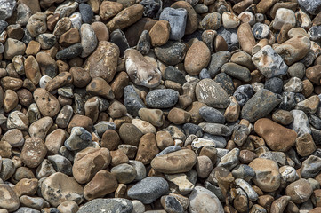 Brighton's stones