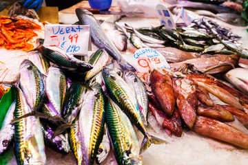 A long counter with various fish and shellfish in Boqueria market. Barcelona.