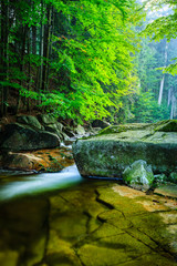 Mumlava river in the Karkonosze National Park, Harrachov.
