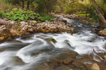 Gradac river gorge.Long exposure of white water rapids and waves with rocks and moss