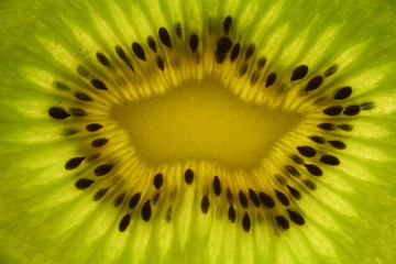 Kiwi fruit close-up