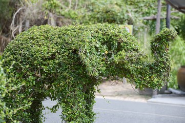 green elephant, dwarf trees