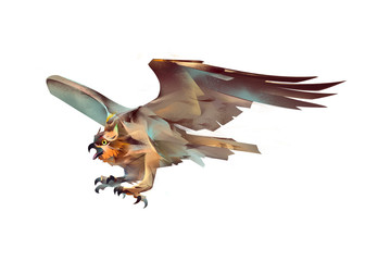 drawing flying bird hawk in attack