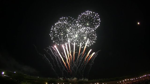 小型煙火と打上花火 Fireworks displays