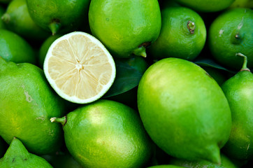 Cut lime in the green whole limes