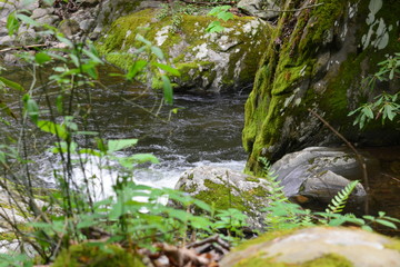 Fototapeta na wymiar Quiet Water, Wood and Rocks
