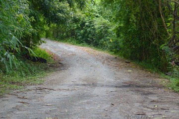 road in forest at Chonburi , Thailand