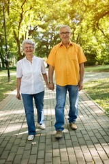 Active seniors walk in nature