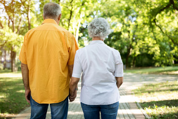 Obraz premium Together walk through the park