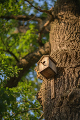 Wooden birdhouse hanging on a tree in summer day